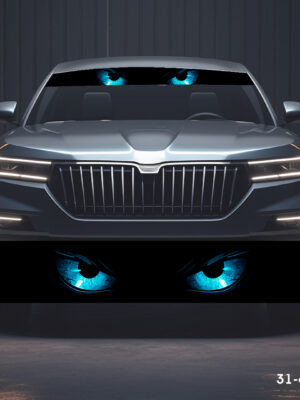 Очі блакитні 31