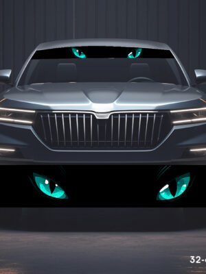 Очі блакитні 32