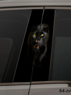 Граціозна пантера 54