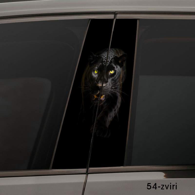 Граціозна пантера 54