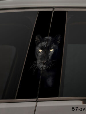 Темна пантера 57