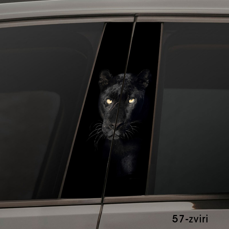 Темна пантера 57