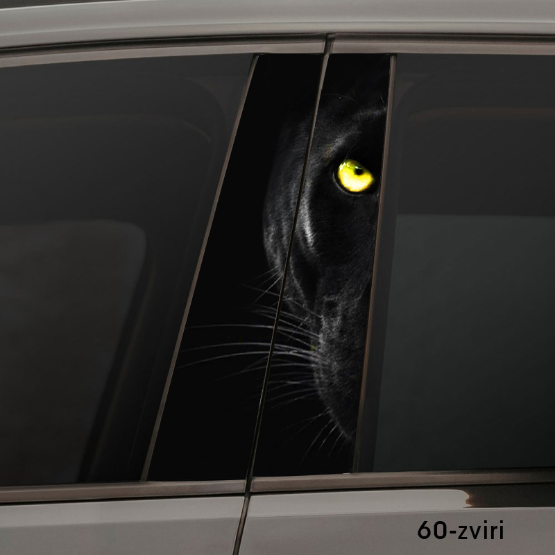 Погляд пантери 60