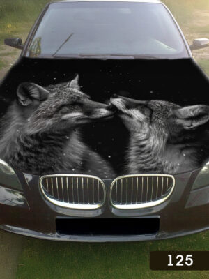 Лисиці ніч 125