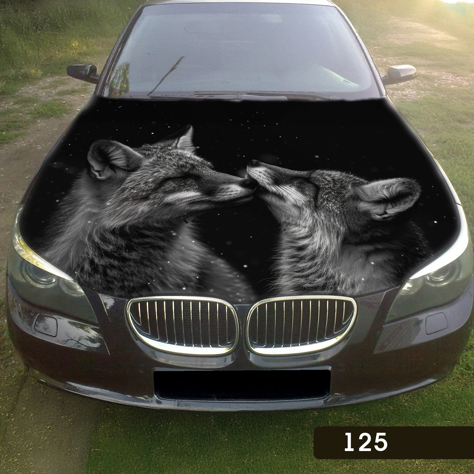 Лисиці ніч 125