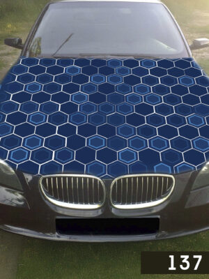 Соти біло-сині 137