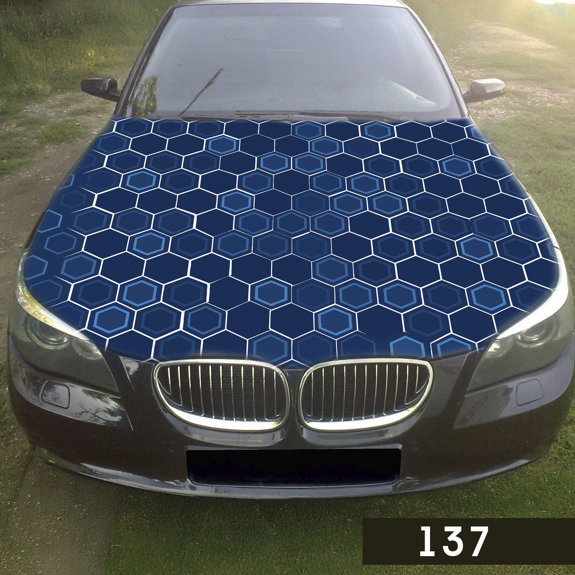 Соти біло-сині 137